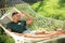 Young man resting in comfortable hammock at garden