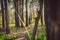 Young man ride mountain bike in forest. Young athletic man riding a bicycle in park. Male cyclist wearing face respirator, with