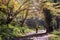 Young man with a rucksack going down by the beatiful forest pathway