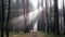 Young man running at sunrise at foggy forest