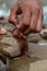 A young man\'s hand holds a small jellyfish on the beach and places it on a rock, agua viva in hand