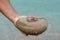 A young man\'s hand holds a small jellyfish on the beach and places it on a rock, agua viva in hand