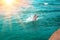 A young man`s legs disappearing as he dives in sea