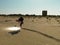 Young man searching through sand with light