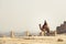 A young man sitting on a camel, looking from the Giza to Cairo