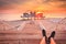 Young man sitting on wooden pier enjoying sunrise at Seebrucke Sellin, Baltic Sea, Germany