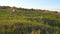 Young man sitting in yoga pose at green grass in the meadow and meditates. Muscular guy relaxing in lotus pose at nature