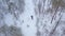 A young man is skiing in the winter forest. Aerial view.