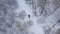 A young man is skiing in the winter forest. Aerial view.