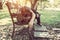 Young man sleeping on bench outdoor in city park during day