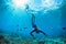 Young man in snorkelling mask dive underwater