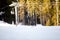 Young man snowboarding