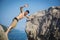 Young Man Spanning Gap Between Coastal Boulders