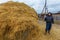 A young man stacks a haystack.