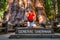 Young man standing by the huge sequoia tree in the Sequoia National Park.