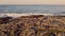 Young Man Standing On The Rocky Cliffs With Rough Sea Waves In Arteixo, La Coruna. Pullback Shot