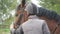 Young man stroking brown horse outdoors. Male jockey caresses and petting the stallion at nature. Care and love for the