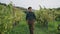 Young man strolling plantation with vine bushes. Winegrower walking vineyard.