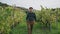 Young man strolling plantation with vine bushes. Winegrower walking vineyard.