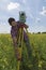 Young Man Surveyor Rapeseed