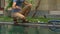 Young man swimming pool serviceman checking chlorine, PH and other chemical levels