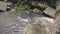 Young man swimming in stony river in tropical forest. Tourist man enjoying fresh water flowing in rainforest on stones