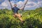 Young man swinging in the jungle rainforest of Bali island, Indonesia. Swing in the tropics. Swings - trend of Bali