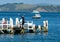 Young man taking a leap from pier into blue water