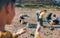 Young man taking photo to group of volunteers cleaning beach