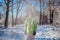 Young man throwing snow in winter forest. Guy having fun outdoors. Man feeling cold under falling snow