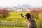 Young man tourist taking pictures in the park with city bulding in background.