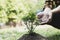 Young man transplanted small seedlings into mineral rich potting soil and prepared to water the plants, Plants help increase oxyge