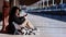 Young man traveller sitting on the station with street cats - using his phone and taking pictures of cats