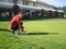 A young man tries to dense lawn grass on the golf