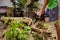 Young man uses electric saw to cut trees