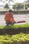 Young man using Power Hedge Trimmer