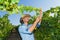 Young man, vine grower, in the vineyard.