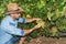 Young man, vine grower, in the vineyard.