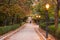 Young man walking along a path in Retiro Park in Madrid in autumn under brown and green trees and lighted lamps