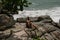 A young man wearing red swimming shorts sitting on the rocks and looking to ocean. Summer resting on the beach.