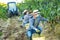 Young man winemaker picking harvest of grapes in vineyard at fields