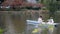 Young man and woman paddle in small boat