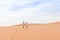 Young Man Woman Walking In Desert Couple Girl And Man Hold Hands Back Rear View Sand Dune Landscape