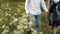 Young man and woman walking in a green meadow in the park holding hands in the summer. Romance, love, relationship