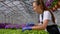 A young man and woman in white coats and black aprons, scientists, biologists or agronomists examine and analyze flowers