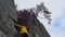 A young man in a yellow raincoat climbs along the edge of a cliff with a tree on the edge to pick a flower.