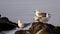 Young Mediterranean Gulls