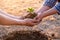 Young men join hands together to plant trees on fertile ground. The concept of protecting nature