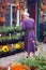 A young Mennonite woman shops for garden flowers