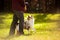 Young merle Australian shepherd performs a trick